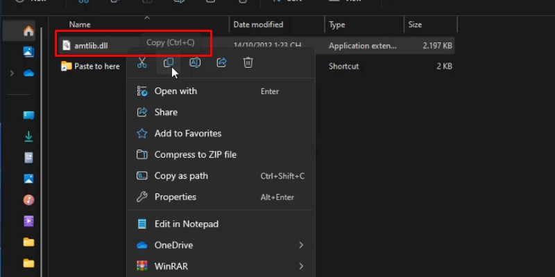 Coppy file Amtlib.dll