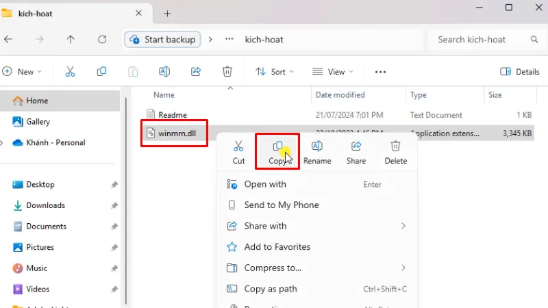 Copy file như hình