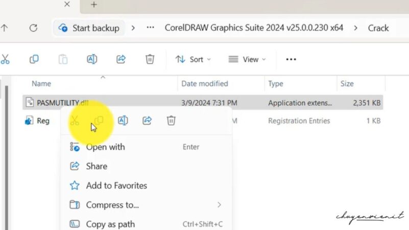 Vào file crack copy Pasmutility.dll